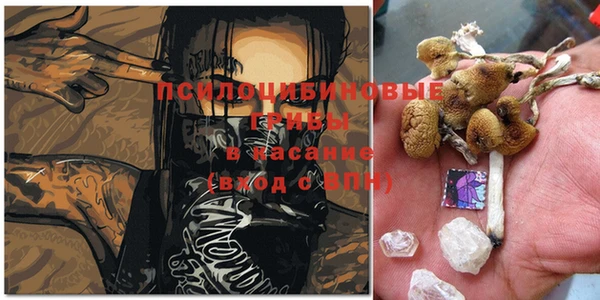 дурь Алексеевка