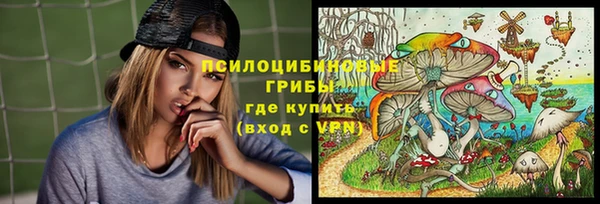 прущий лед Алексин