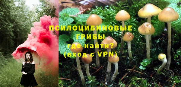 дурь Алексеевка