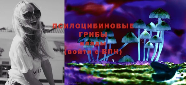 прущий лед Алексин