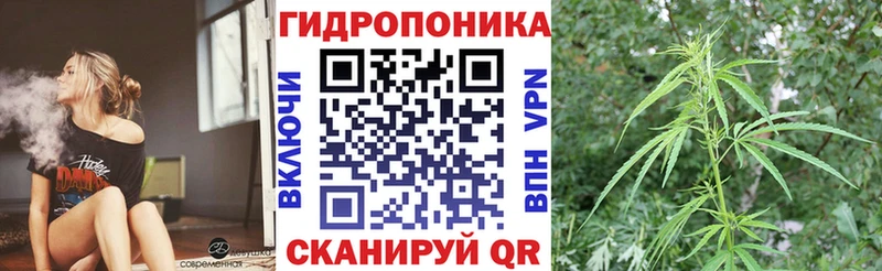 даркнет сайт  Себеж  Конопля ГИДРОПОН 